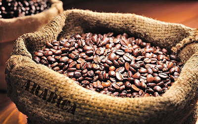 Arabica Coffee