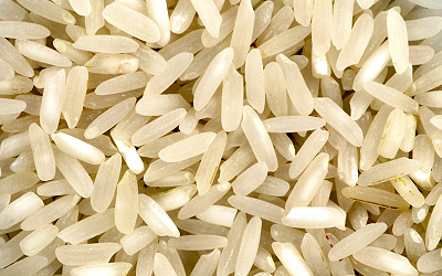 Rice